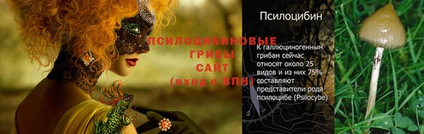 прущая мука Елабуга