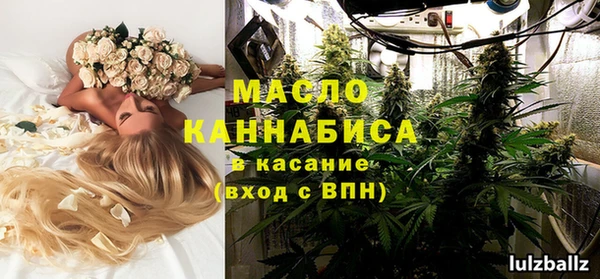стаф Ельня