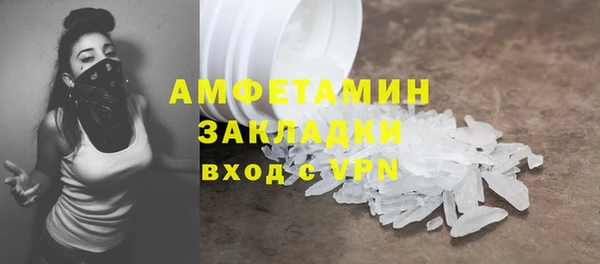 стаф Ельня