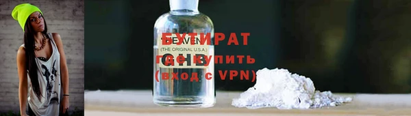 стаф Ельня