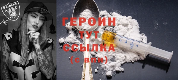 стаф Ельня
