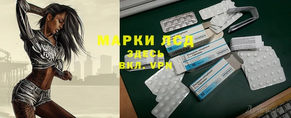 стаф Ельня