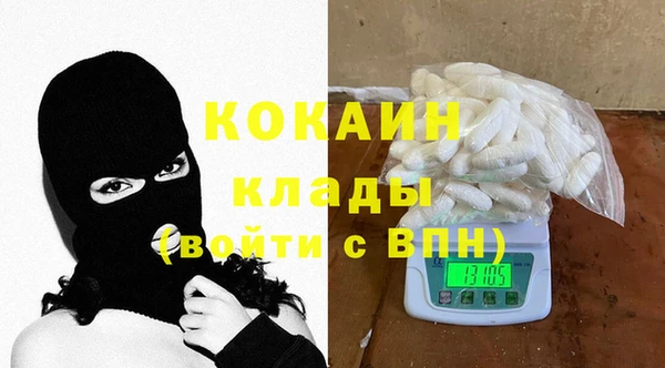 тгк Елизово