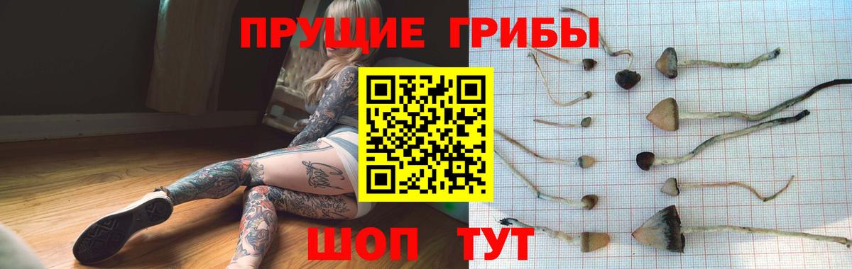 Галлюциногенные грибы Psilocybe  Псилоцибиновые грибы Cubensis  Свободный  где продают   Вход с VPN 