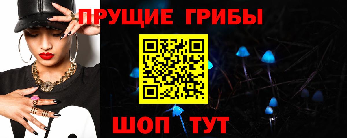 Галлюциногенные грибы Cubensis Свободный